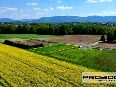 Działka budowlana Pisarzowice