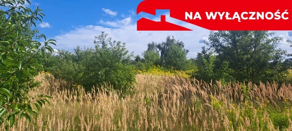 Działka Suszno