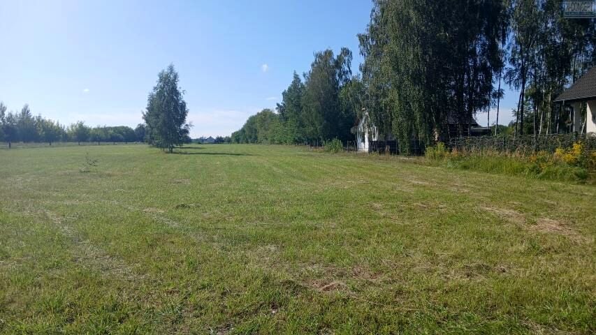 Zdjęcie 3