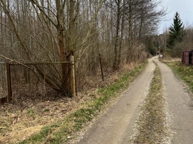 Działka przy lesie