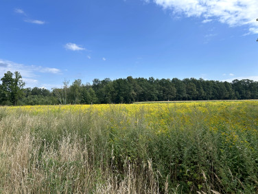 Działka budowlana Miedary