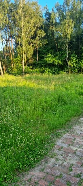 Działka budowlana Ruda Śląska
