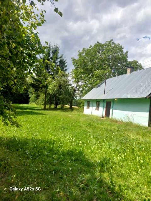 Zdjęcie 2