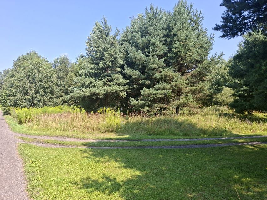 Działka inna Myszków