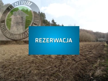 Działka budowlana Roztoka- Brzeziny