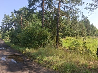 Działka inna Myszków