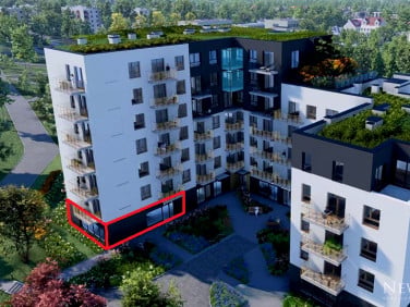 Lokal Kraków
