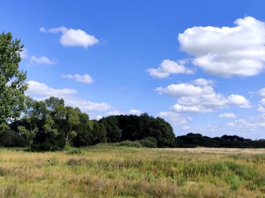 Działka rolna Biechowo