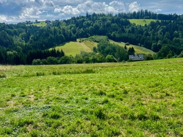 Działka budowlana Jaworzynka