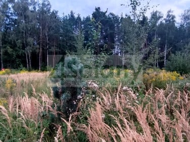 Działka budowlana Osowiec