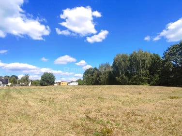 Działka Rybnik