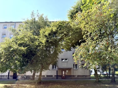 Mieszkanie przy lesie