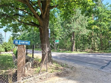 Działka leśna Chmielew