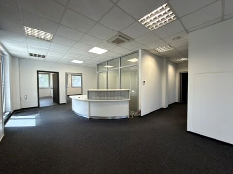 Lokal Katowice