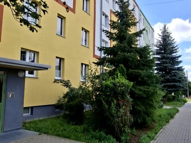 Mieszkanie Kutno