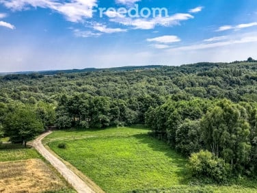 Działka siedliskowa Kraczkowa