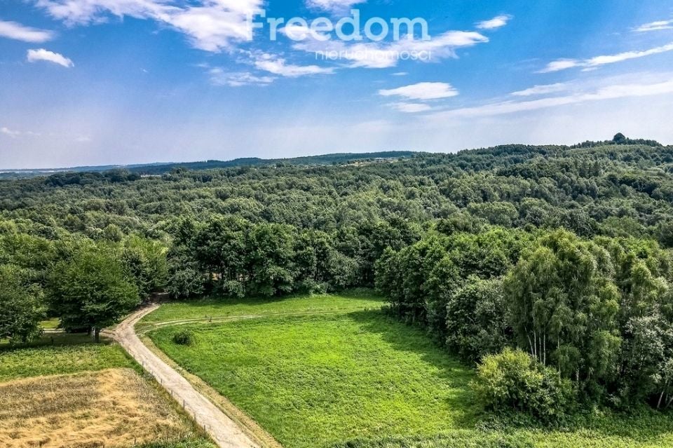 Działka siedliskowa Kraczkowa