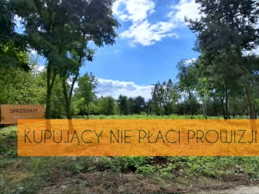Pusta działka Nieporęt