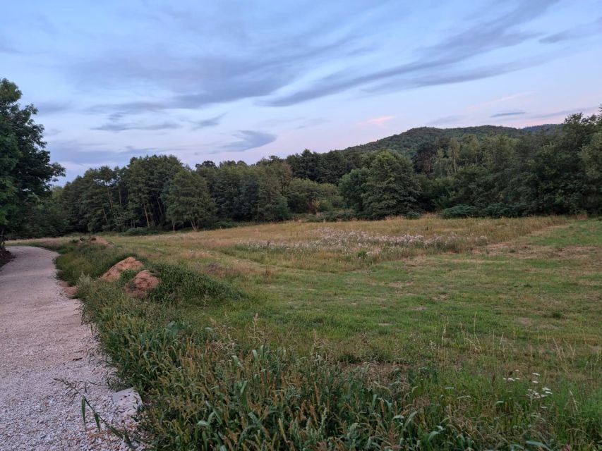 Działka Stare Bogaczowice