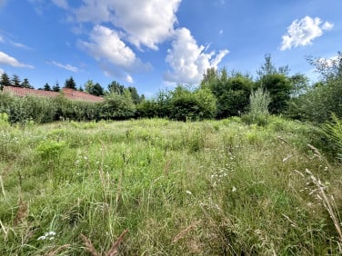 Działka Bukowiec