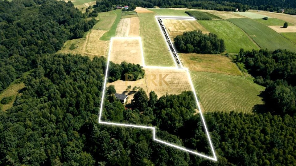 Działka Blizianka