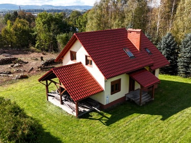 Dom Strzyżów