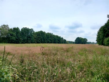 Działka budowlana Chybie