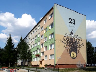Mieszkanie Jelenia Góra