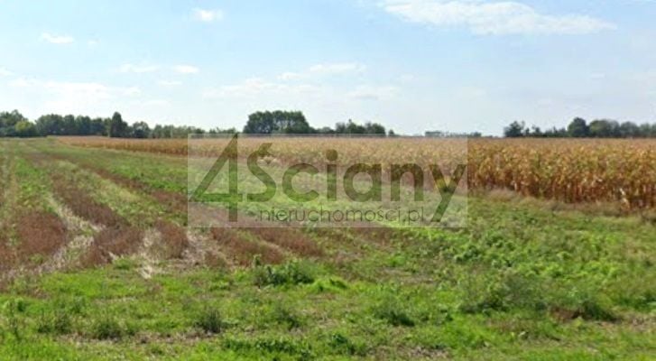 Działka budowlana Nowe Faszczyce