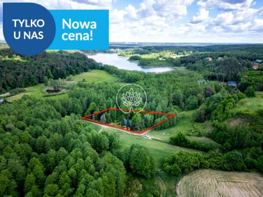 Dom Nowogród