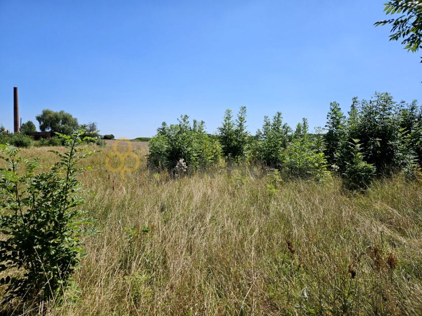 Zdjęcie 3