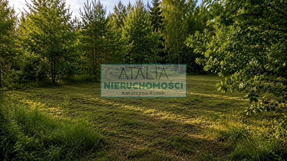 Zdjęcie 3