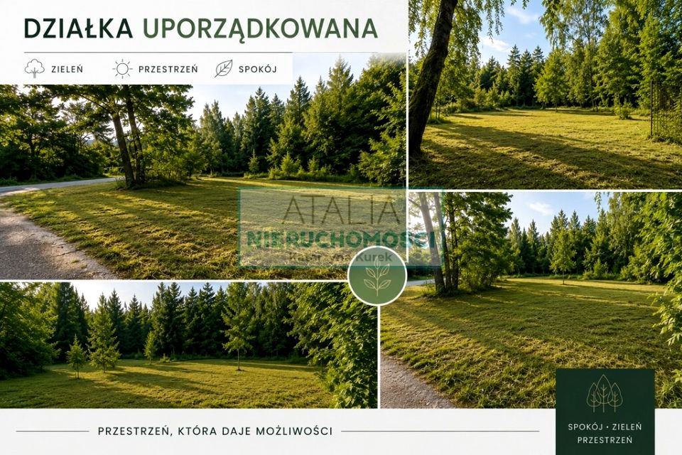 Zdjęcie 2