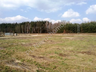 Działka Targówka