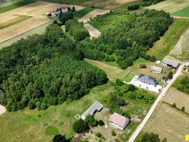 Zalesiona działka Masłów Pierwszy