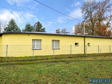 Lokal Katowice