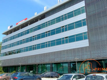Lokal Warszawa