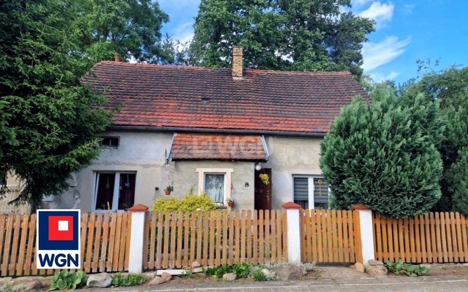Zdjęcie 3