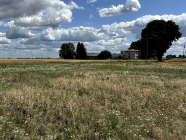 Działka Janowice
