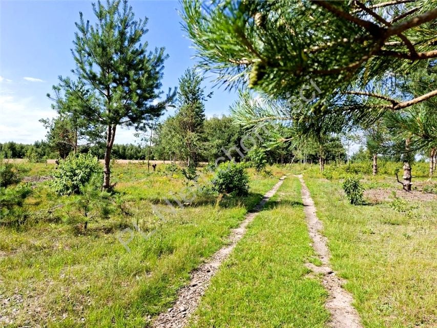 Działka Leontyna