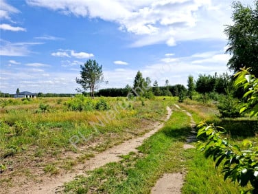 Działka Leontyna