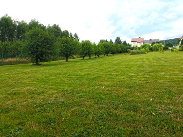 Działka w górach