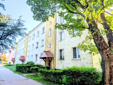 Mieszkanie Giżycko
