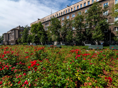 Mieszkanie Kraków