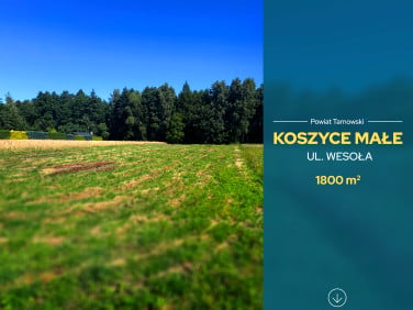 Działka budowlana Koszyce Małe