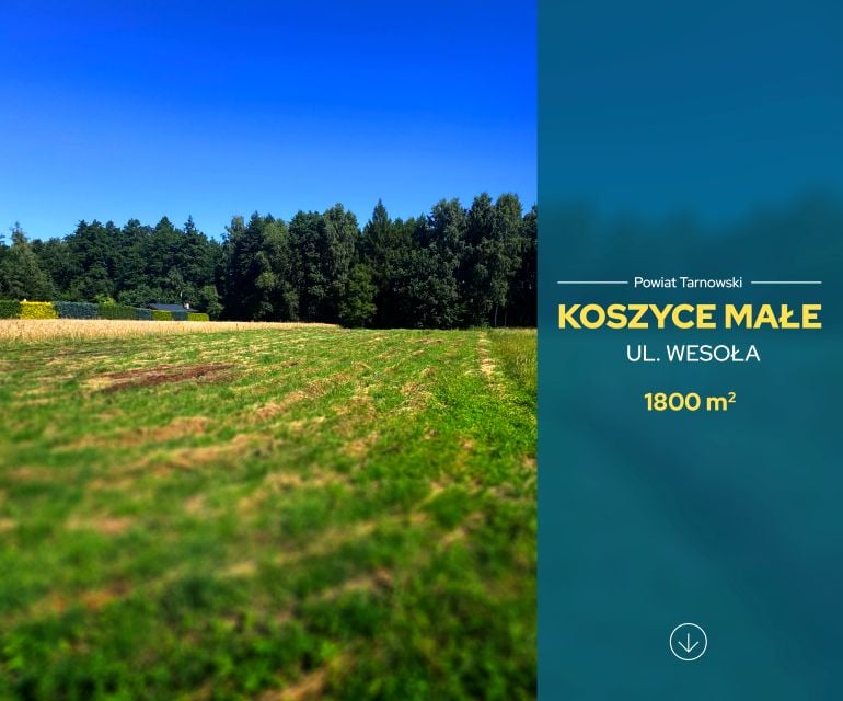Działka budowlana Koszyce Małe