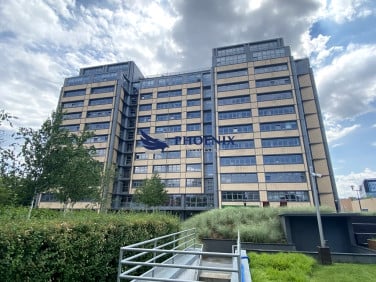 Lokal Warszawa
