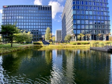 Lokal Warszawa