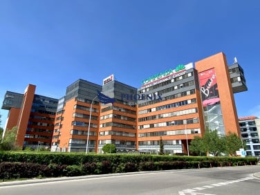 Lokal Warszawa