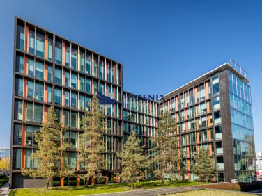 Lokal Warszawa
